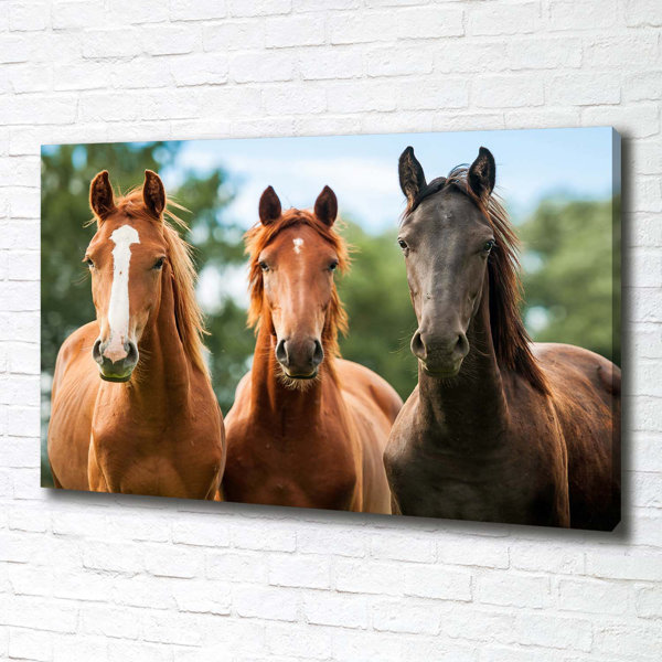 Gracie Oaks Three Horses Unframed Art Prints on Canvas Wayfair.co.uk